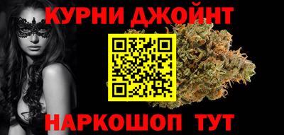сатива Новокубанск