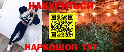 сатива Новокубанск
