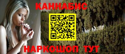 сатива Новокубанск