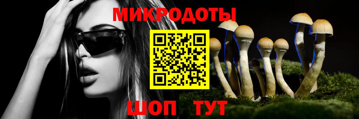 дарнет шоп  Псилоцибиновые грибы GOLDEN TEACHER  Вход с VPN  Галлюциногенные грибы мухоморы  Сухой Лог 